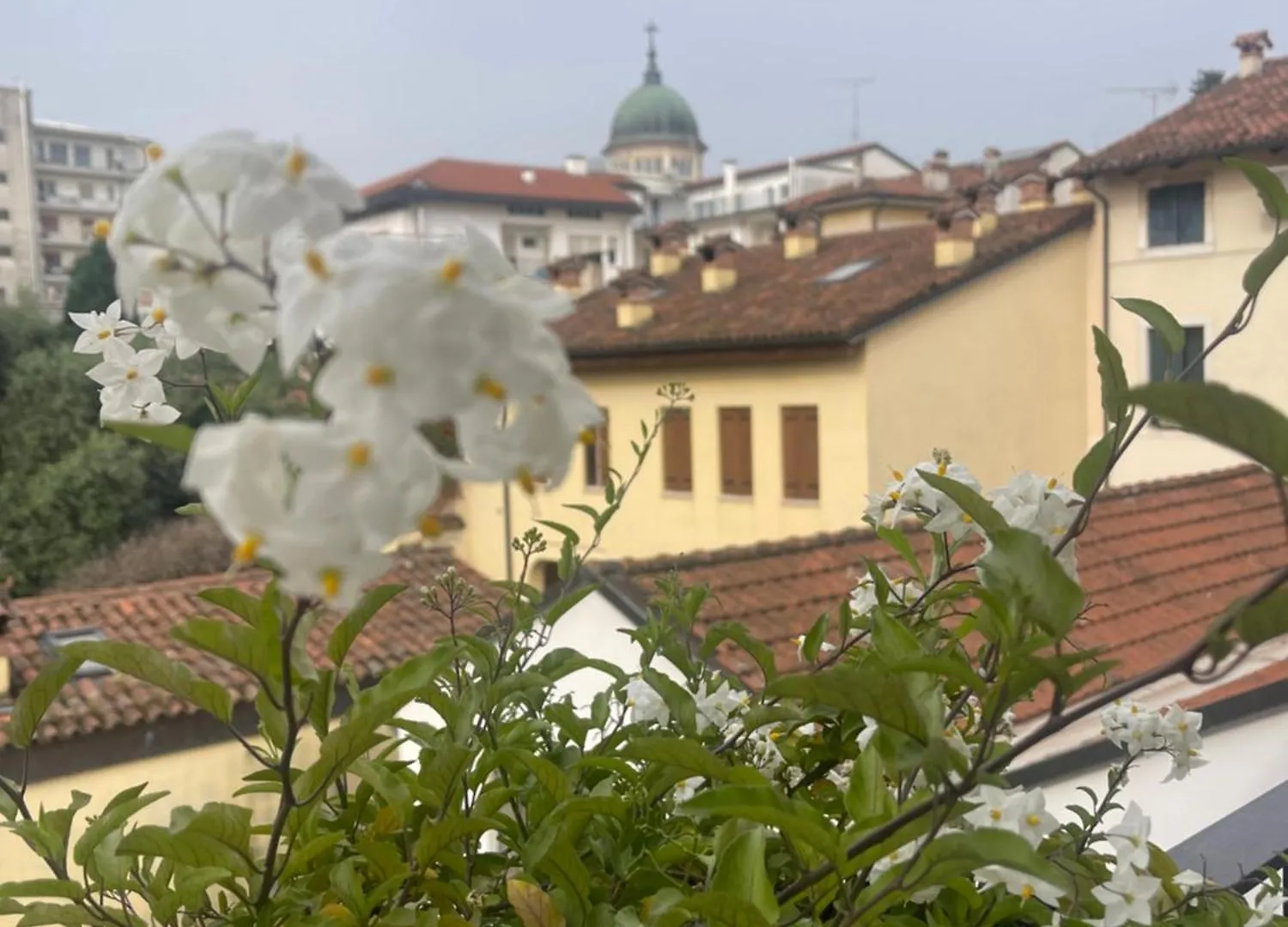 ホテル Casa Carmelo スキーオ イタリア